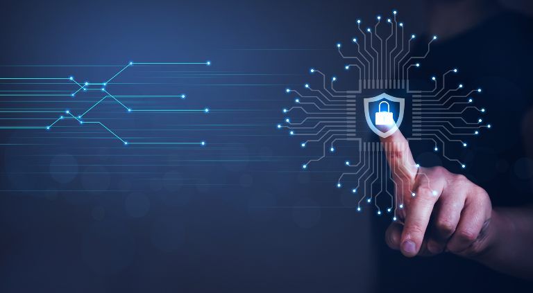 Digital Privacy: Securing Consumer Privacy with LoginRadius