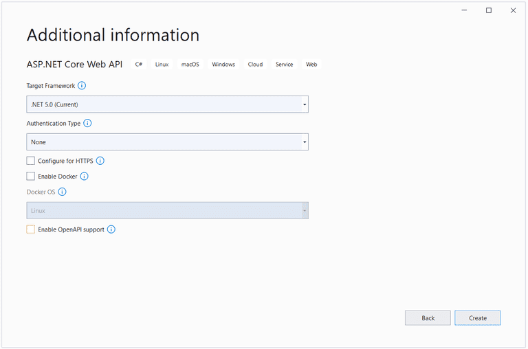 Specify additional information for the new ASP.NET Core 5 project